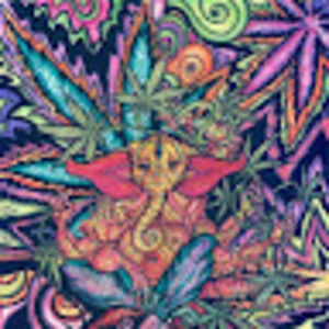 Meet your Posher, Jaz-marie